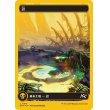 画像1: 沼/Swamp (1)