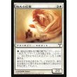 画像1: 極光の幻霊/Aurora Eidolon (1)