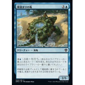 画像: 《潮溜まりの亀/Tidepool Turtle(069)》【JPN】[DMU青C]