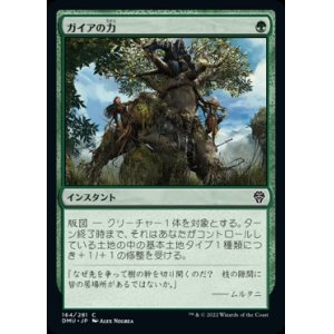 画像: 《ガイアの力/Gaea's Might(164)》【JPN】[DMU緑C]