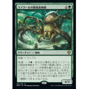 画像: 《ラノワールの緑後家蜘蛛/Llanowar Greenwidow(169)》【JPN】[DMU緑R]