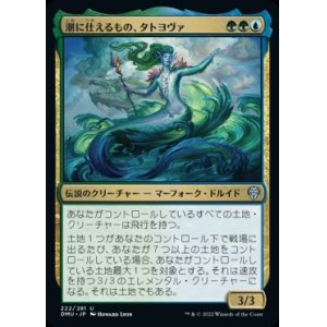 画像: 《潮に仕えるもの、タトヨヴァ/Tatyova, Steward of Tides(222)》【JPN】[DMU金U]