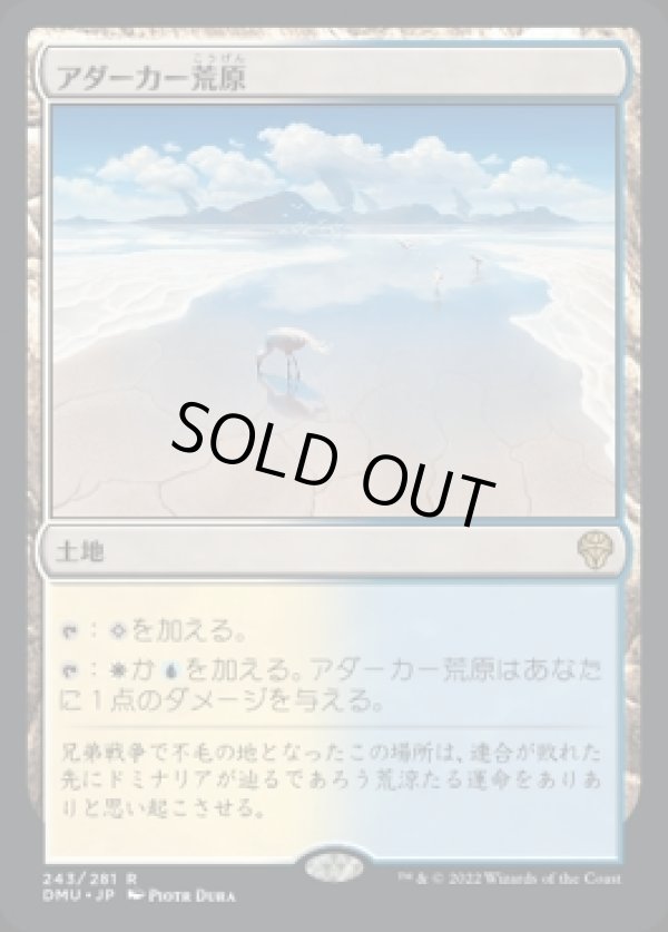 画像1: アダーカー荒原/Adarkar Wastes (1)