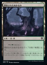 画像: 《憑依されたぬかるみ/Haunted Mire(248)》【JPN】[DMU土地L]