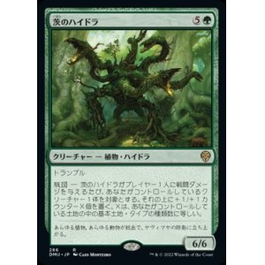 画像: 茨のハイドラ/Briar Hydra