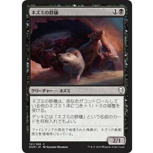 画像: ネズミの群棲/Rat Colony