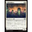 画像1: 小麦畑の孤児たち/Orphans of the Wheat (1)