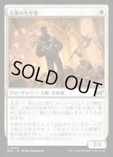 画像: 古参の生存者/Veteran Survivor