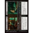 画像1: 荒らされた地下室+解剖室/Defiled Crypt+Cadaver Lab (1)