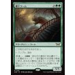 画像1: 欄干ワーム/Balustrade Wurm (1)
