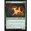 画像1: 永劫の活力/Enduring Vitality (1)