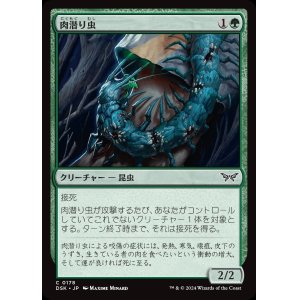 画像: 肉潜り虫/Flesh Burrower