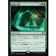 画像1: 変異の力線/Leyline of Mutation (1)