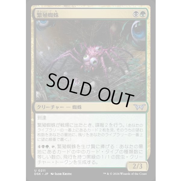 画像1: 繁殖蜘蛛/Broodspinner (1)