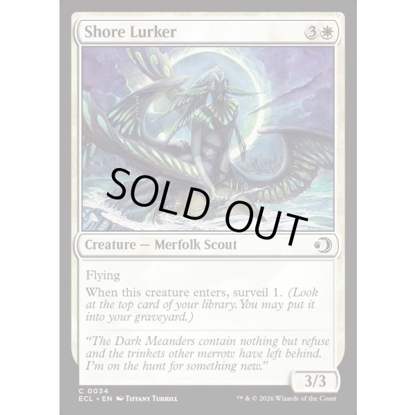 画像2: 海辺潜み/Shore Lurker (2)