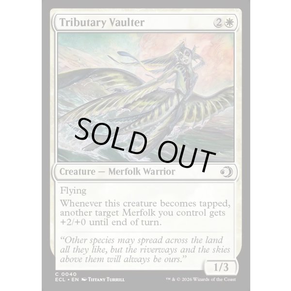 画像2: 支流の跳躍者/Tributary Vaulter (2)