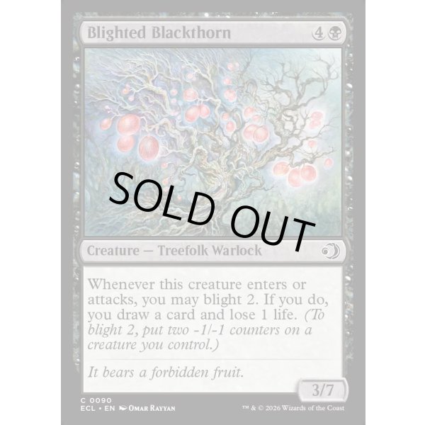 画像2: 立ち枯れた黒茨/Blighted Blackthorn (2)