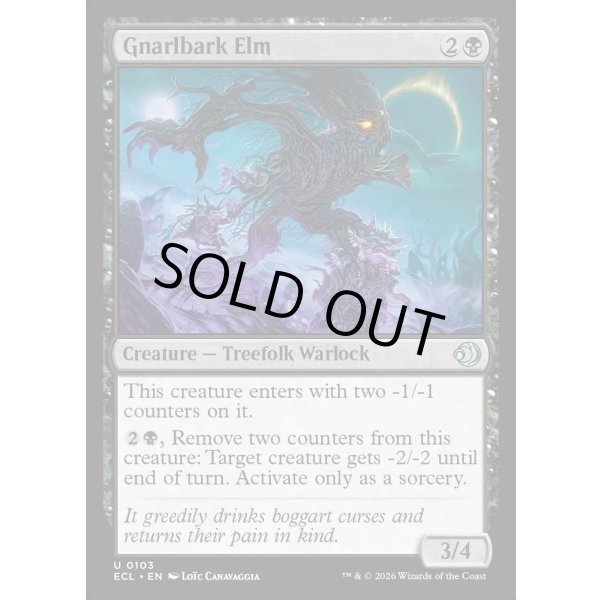 画像2: 節くれ皮の楡/Gnarlbark Elm (2)