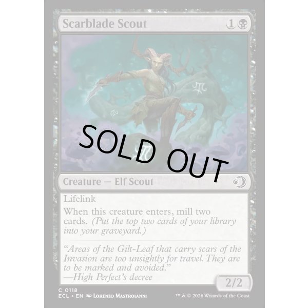 画像2: 傷刃の斥候/Scarblade Scout (2)