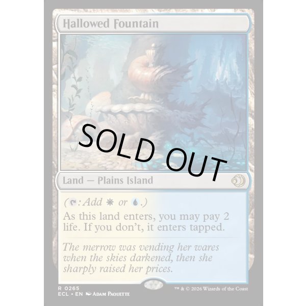 画像2: 神聖なる泉/Hallowed Fountain (2)