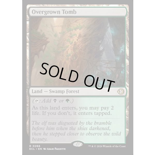 画像2: 草むした墓/Overgrown Tomb (2)