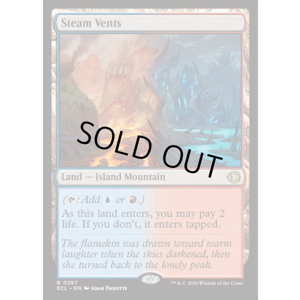 画像2: 蒸気孔/Steam Vents (2)