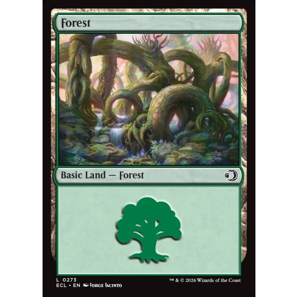 画像2: 森/Forest (2)