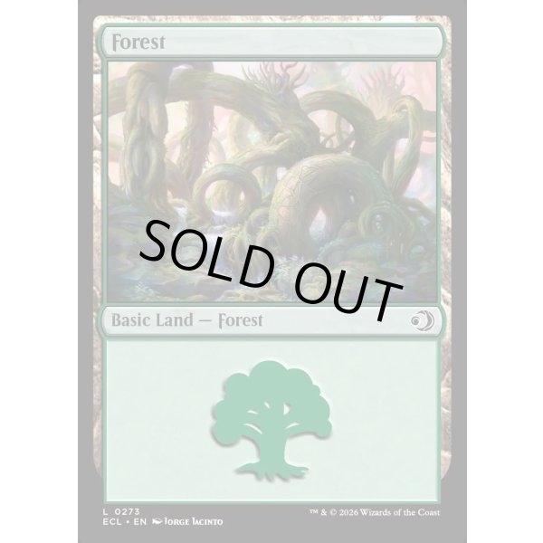 画像2: 森/Forest (2)