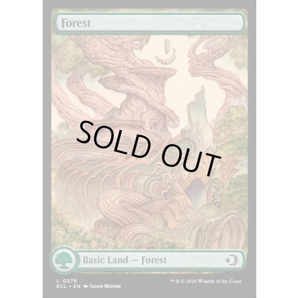 画像2: 森/Forest (2)