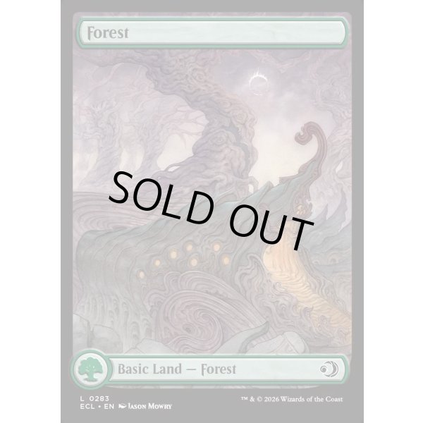 画像2: 森/Forest (2)