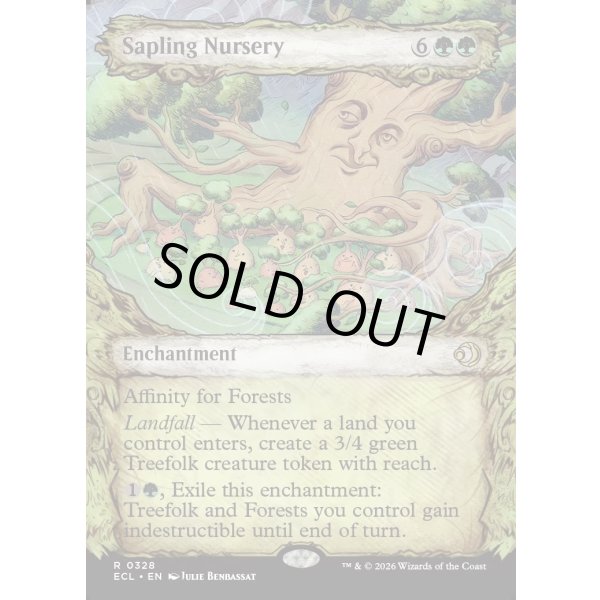 画像2: 若木の生育場/Sapling Nursery (2)