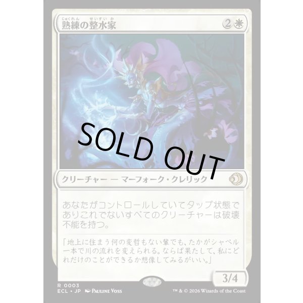 画像1: 熟練の整水家/Adept Watershaper (1)