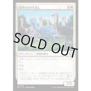 画像: 鳥群のなりすまし/Flock Impostor