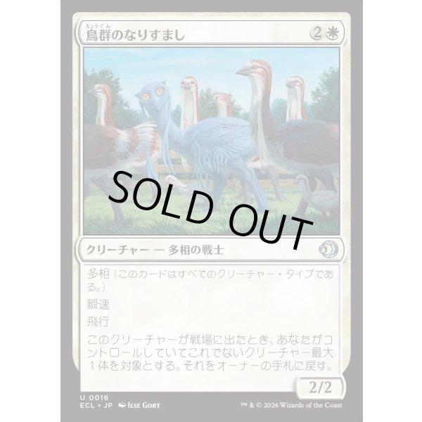 画像1: 鳥群のなりすまし/Flock Impostor (1)