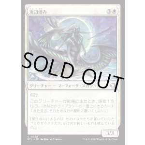 画像: 海辺潜み/Shore Lurker