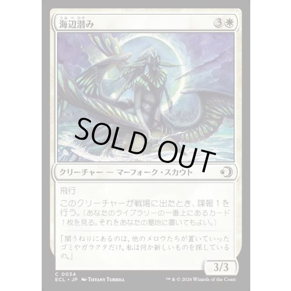 画像1: 海辺潜み/Shore Lurker (1)