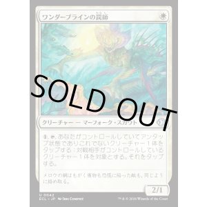 画像: ワンダーブラインの罠師/Wanderbrine Trapper