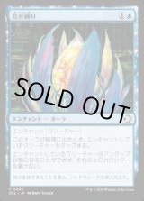 画像: 花弁縛り/Blossombind