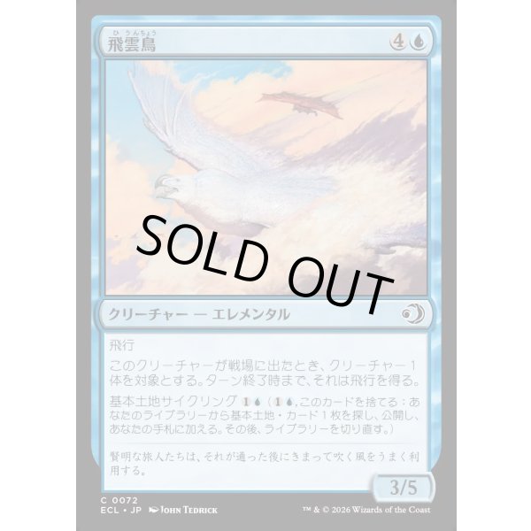 画像1: 飛雲鳥/Stratosoarer (1)