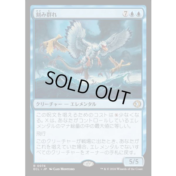 画像1: 刻み群れ/Sunderflock (1)