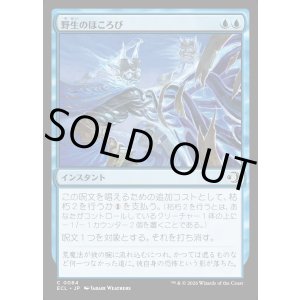 画像: 野生のほころび/Wild Unraveling