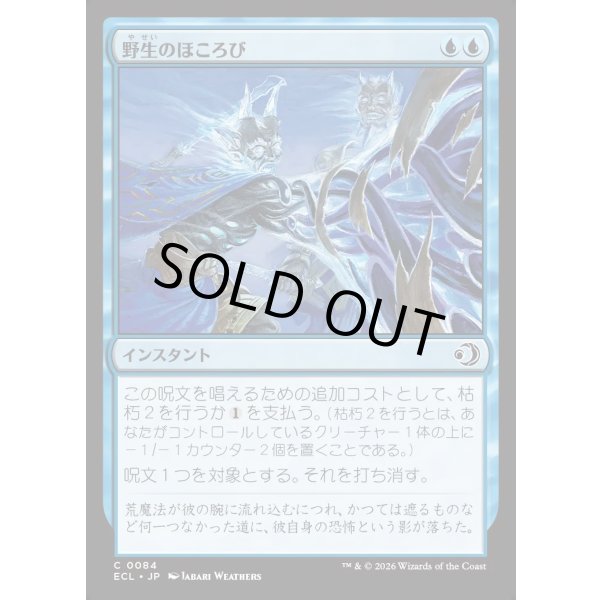 画像1: 野生のほころび/Wild Unraveling (1)