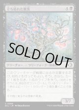 画像: 立ち枯れた黒茨/Blighted Blackthorn