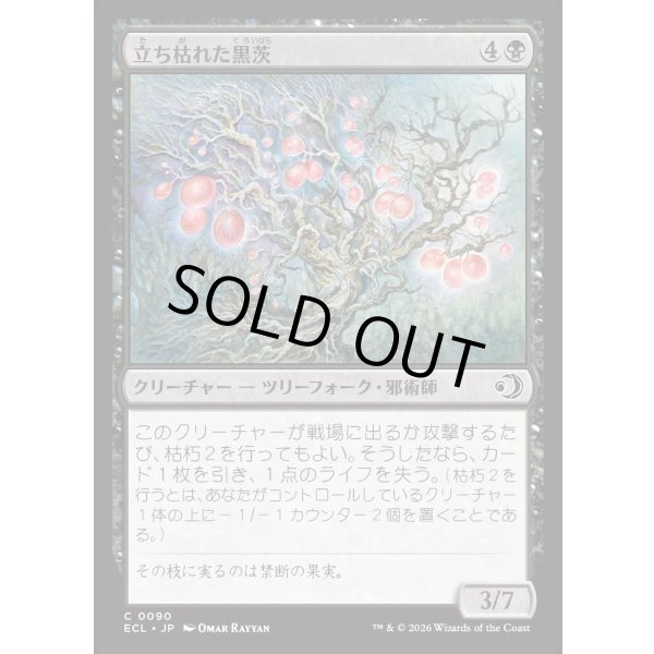 画像1: 立ち枯れた黒茨/Blighted Blackthorn (1)