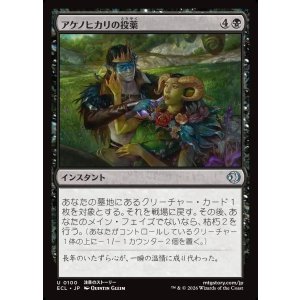 画像: アケノヒカリの投薬/Dose of Dawnglow