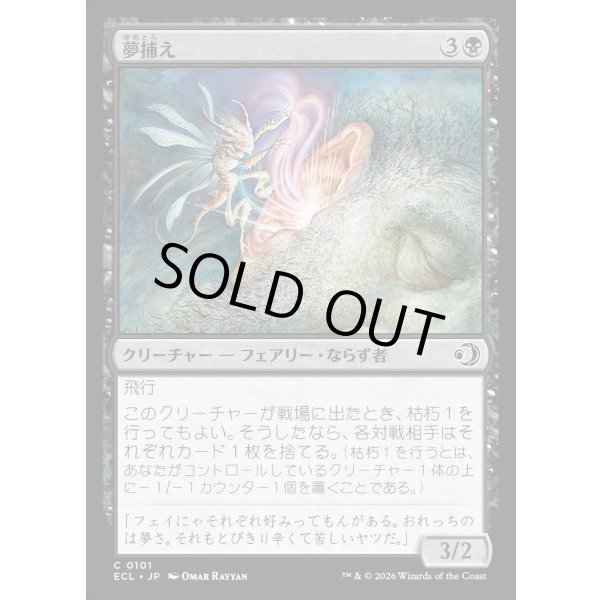 画像1: 夢捕え/Dream Seizer (1)