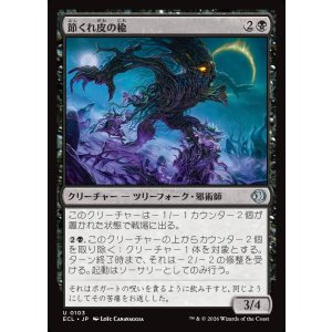 画像: 節くれ皮の楡/Gnarlbark Elm