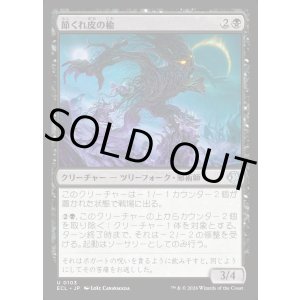 画像: 節くれ皮の楡/Gnarlbark Elm