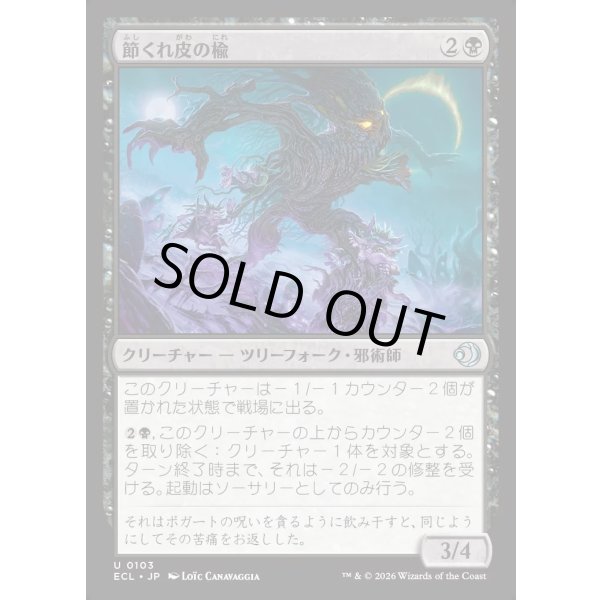 画像1: 節くれ皮の楡/Gnarlbark Elm (1)