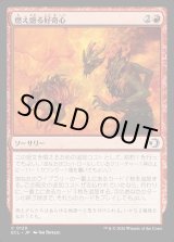 画像: 燃え盛る好奇心/Burning Curiosity